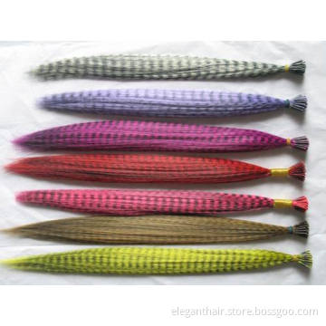 Feather Hair Extensions (FH-004)
